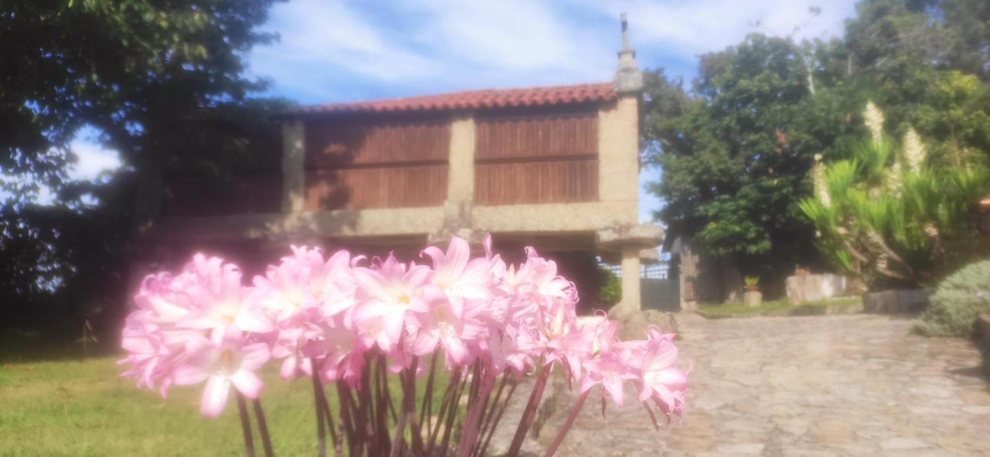 Casal de Folgueiras Rias Baixas Meis Exterior foto